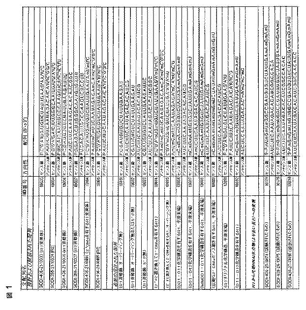 5697993-修飾ＲＮＡｉポリヌクレオチドおよびその使用 図000025