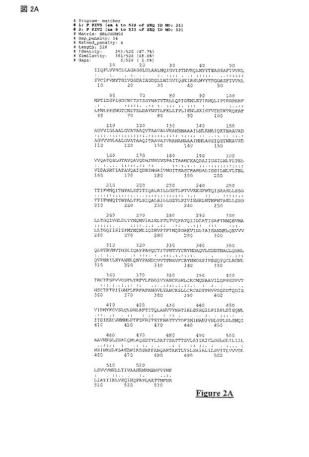 5823296-ＰＩＶ−５及びＰＩＶ−２のＦタンパク質の突然変異タンパク質 図000025