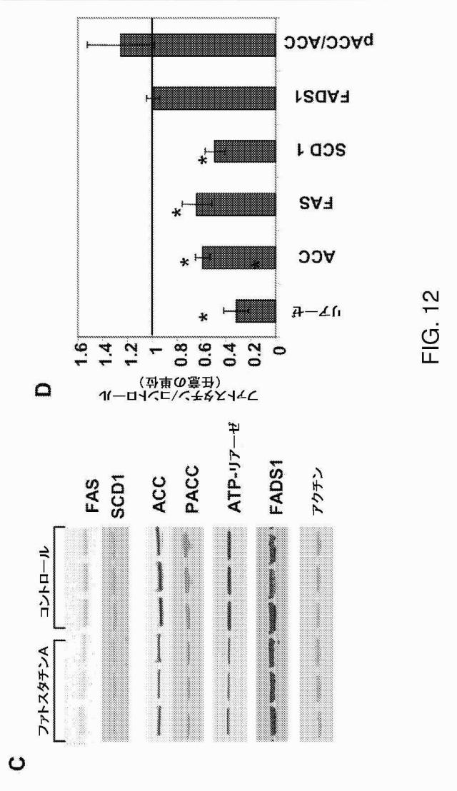 5878937-代謝障害を処置するための組成物および方法 図000025