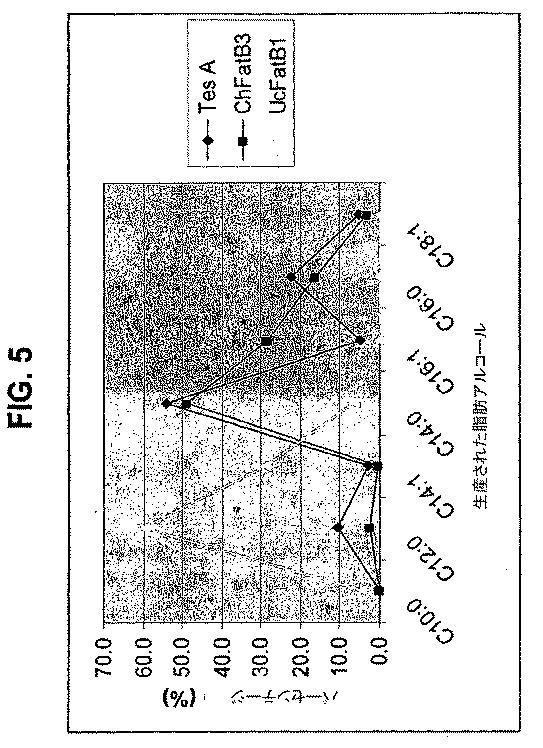 5961662-脂肪酸およびその誘導体の生産 図000025