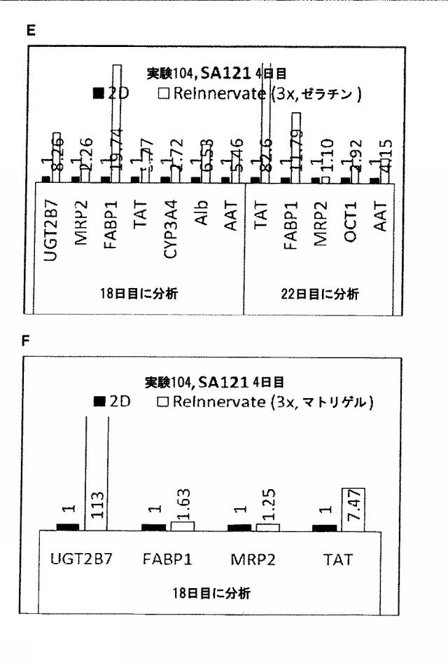 6025715-多能性幹細胞の肝細胞への分化を向上する三次元スキャホールド 図000025