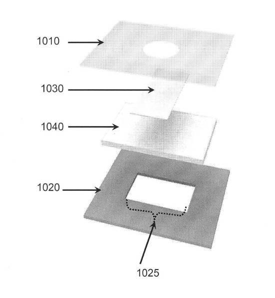 6190395-単一信号で複数被検体を検出する方法及び組成物 図000025