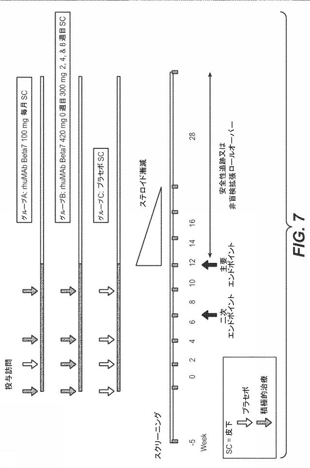 6248029-ベータ７インテグリンアンタゴニストの投与方法 図000025