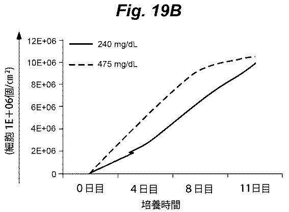 6386447-養子細胞療法のための改良された細胞培養法 図000025