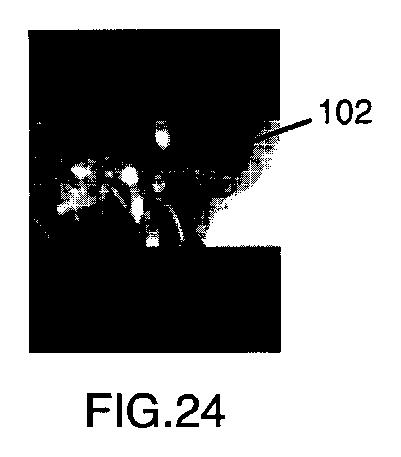 6396310-第一レンダリング投影と第二レンダリング投影との間のトランジションをユーザーに表示するための方法および装置 図000025