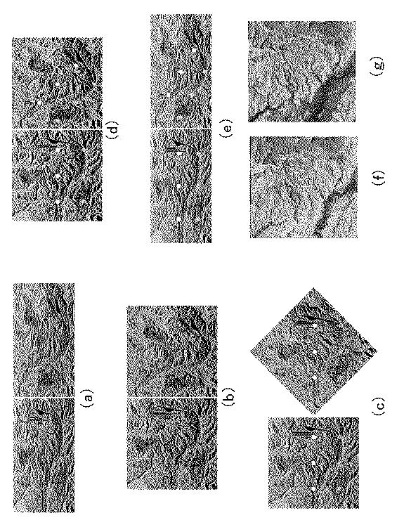 6421395-ＳＡＲ図からの立体地形図形成方法 図000025