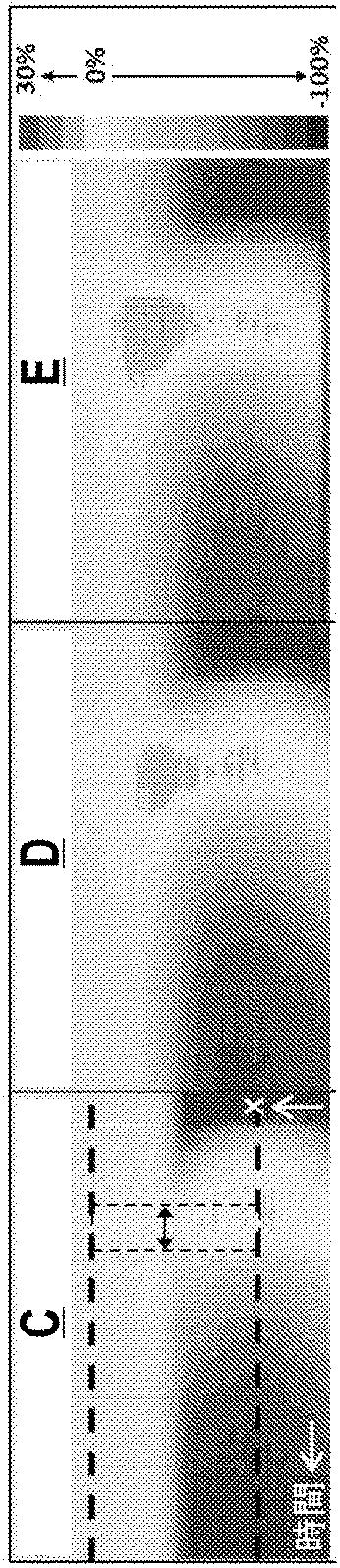 6492050-マイクロ流体熱量計のためのシステムおよび方法 図000025