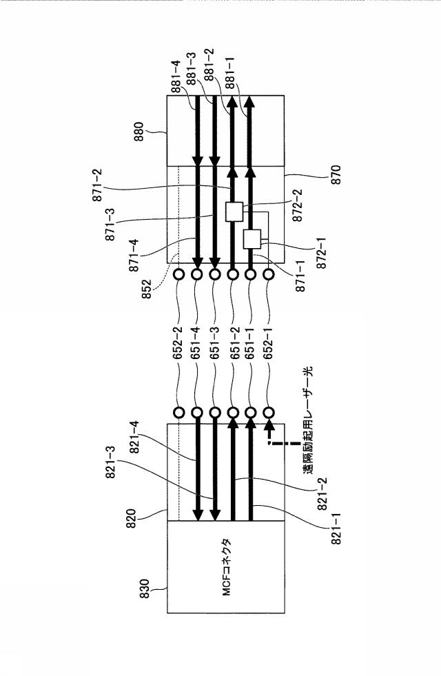 6517946-光増幅システム及び光増幅方法 図000025