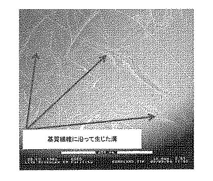 6552822-治療用生物薬剤及び小分子の貯蔵及び送達のためのクロマトグラフィー媒体 図000025