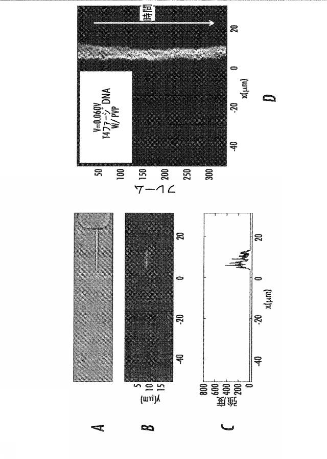 6633682-流体ナノファンネルを有する装置、関連する方法、製造及び解析システム 図000025