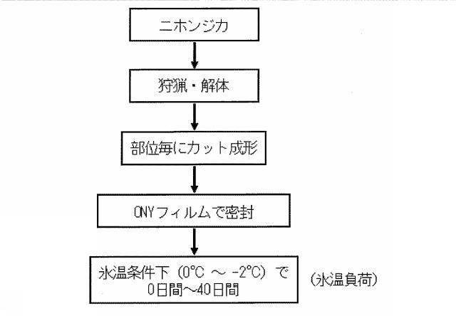 6670154-生鮮食材の抗酸化能増強方法及びその高鮮度流通方法 図000025