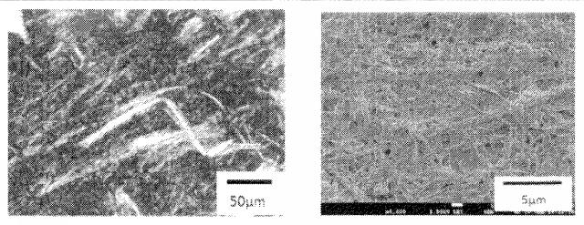 6775160-疎水化セルロース系繊維用の解繊助剤、それを使用する樹脂組成物の製造方法並びに成形体 図000025
