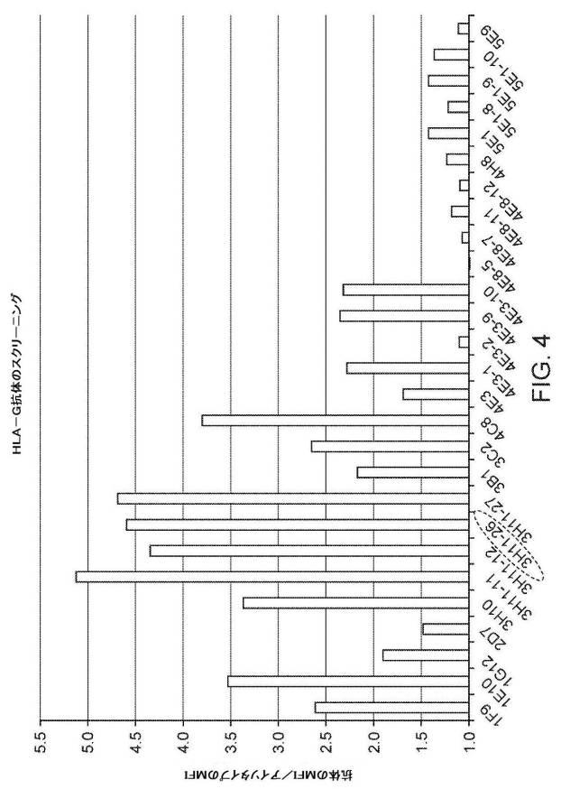 6843062-ＣＡＲ  Ｔ細胞免疫療法のための新規標的としてのＨＬＡ−Ｇ 図000025