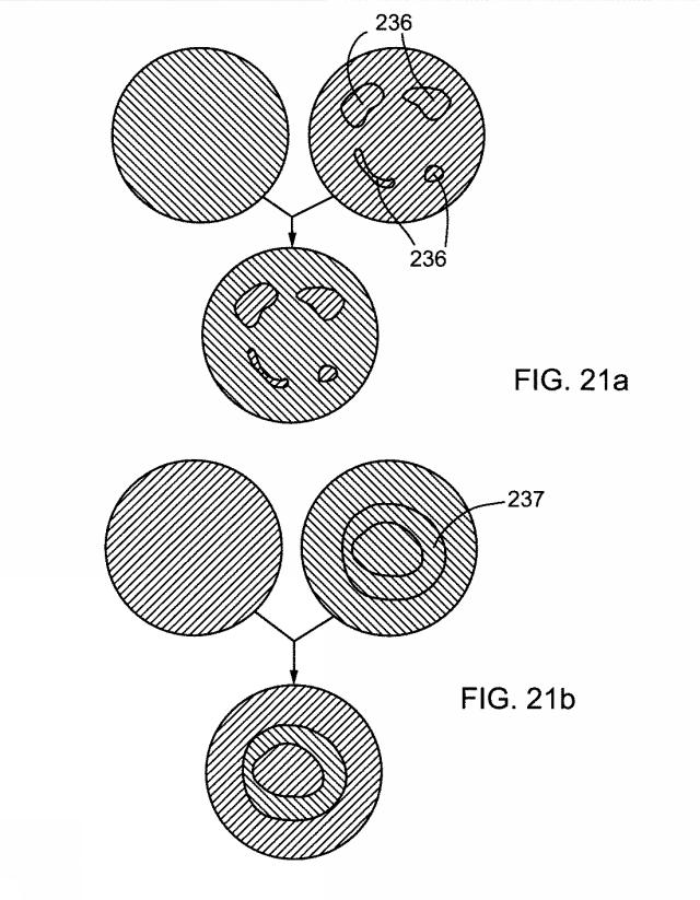 6878499-超音波と光学を複合した画像手段を有する撮像プローブ 図000025