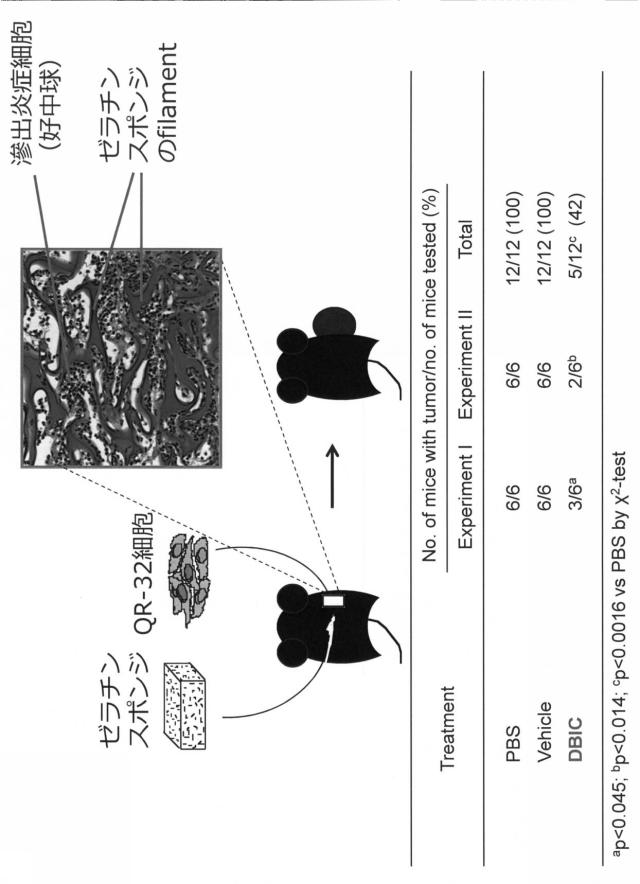 6887640-ＤＮＭＴのＳ−ニトロシル化阻害剤、がん治療薬及びそのスクリーニング方法 図000025