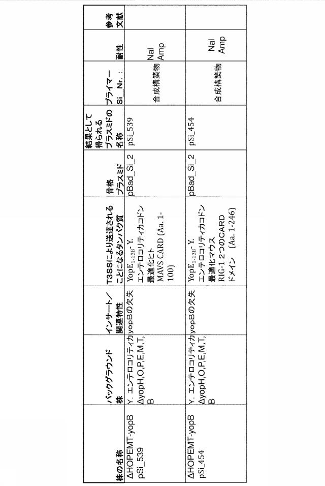 6976351-弱毒化細菌に基づくタンパク質送達 図000025