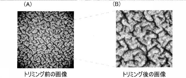 5649424-防水シート診断方法および診断装置 図000026