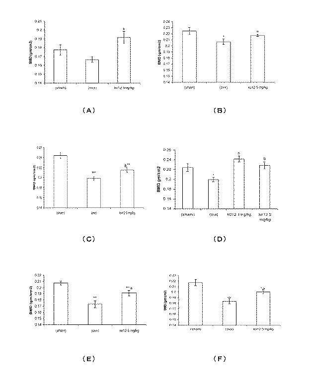 5693243-フラボノール化合物、生物活性抽出物又はフラクション、薬理学的組成物、医薬品及び製造方法 図000026