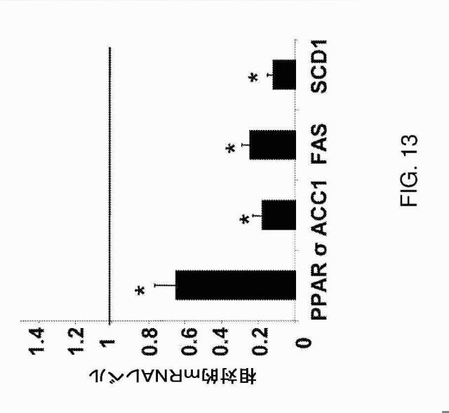 5878937-代謝障害を処置するための組成物および方法 図000026