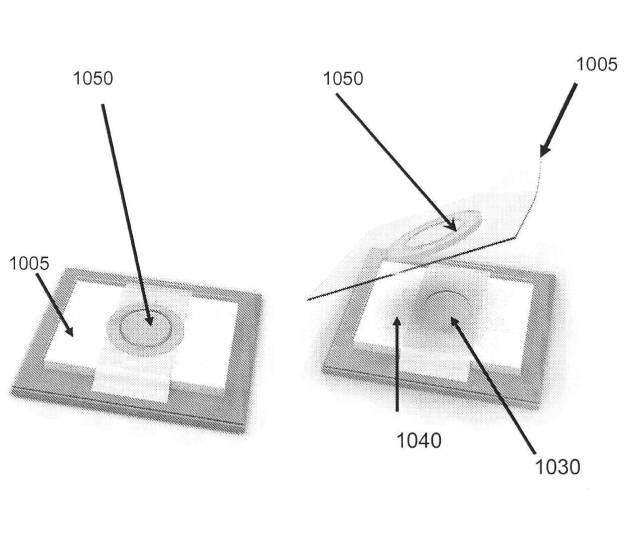 6190395-単一信号で複数被検体を検出する方法及び組成物 図000026