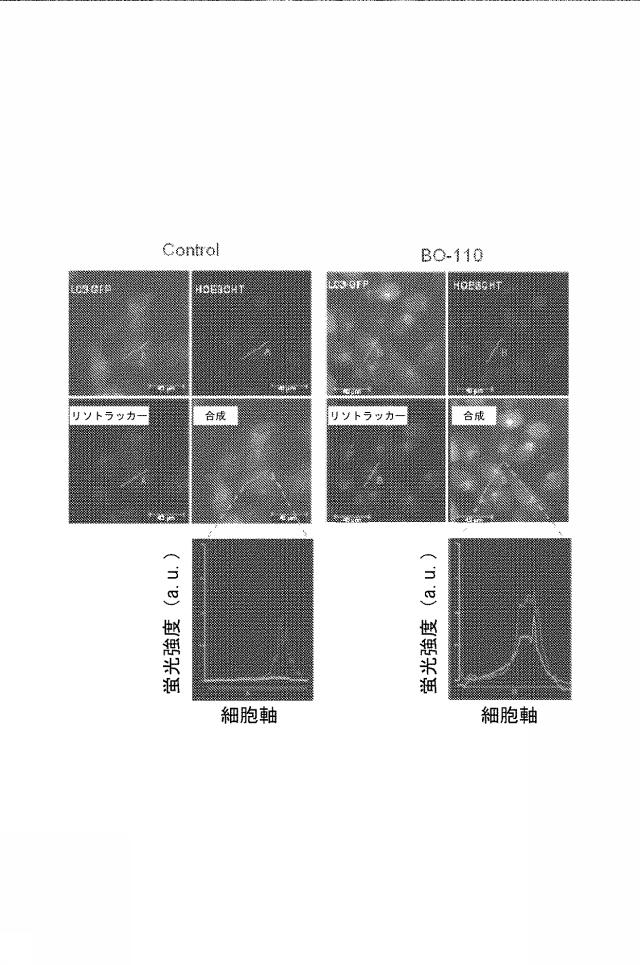 6222749-医薬組成物及びその使用 図000026