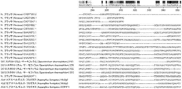6290626-糖化プロセスにおける粘度を低下させる方法 図000026