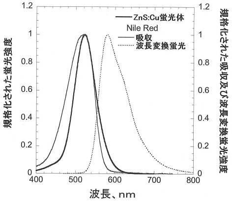 6343785-中性子シンチレータ 図000026