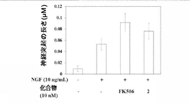 6370490-免疫抑制活性なしに神経再生活性が維持されるＦＫ５０６誘導体及びその用途 図000026