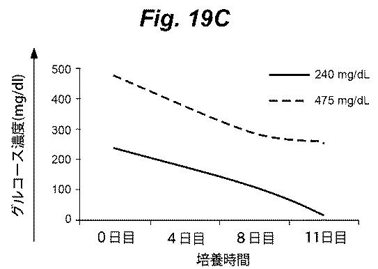 6386447-養子細胞療法のための改良された細胞培養法 図000026