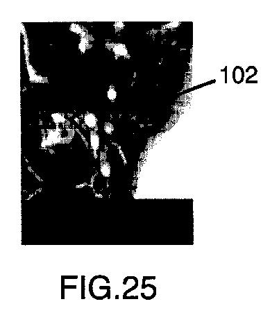 6396310-第一レンダリング投影と第二レンダリング投影との間のトランジションをユーザーに表示するための方法および装置 図000026