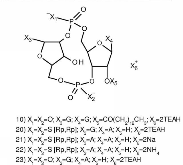 6453855-「インターフェロン遺伝子の刺激因子」依存性シグナル伝達を活性化するための組成物及び方法 図000026