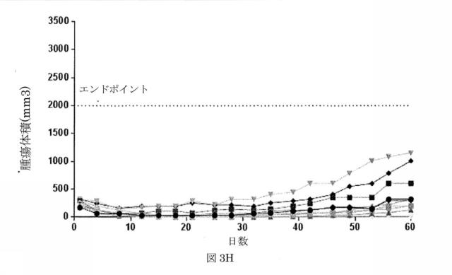 6550400-レナリドミド及びポリペプチド構築物の組合せ、及びその使用 図000026