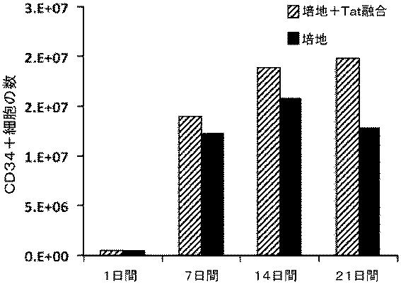 6647334-成体幹細胞のインビトロでの増殖 図000026