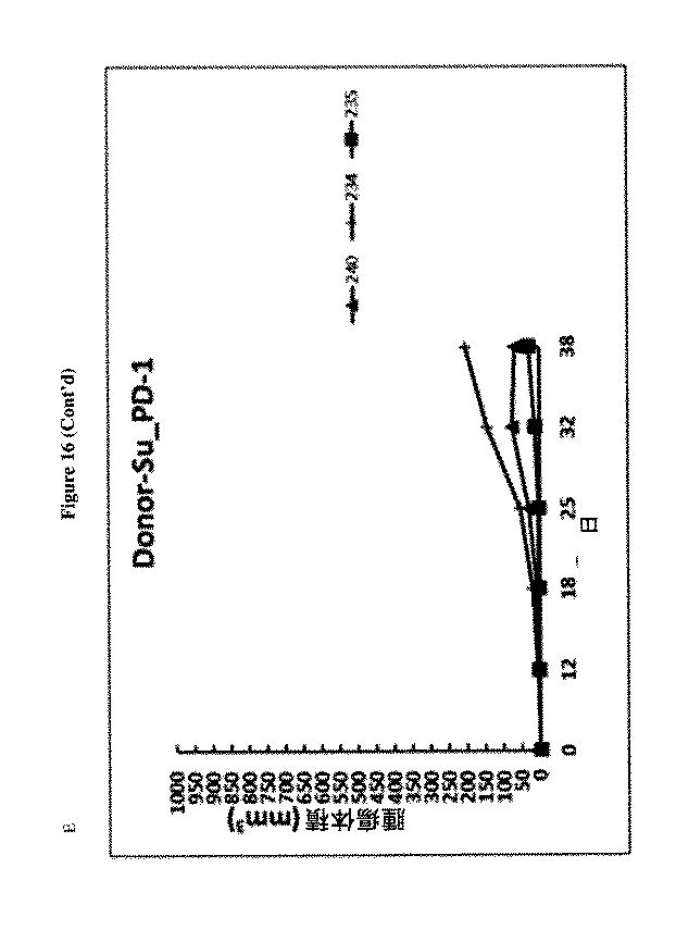 6680760-アンタゴニストＩＣ  ＰＤ−１アプタマー及びその癌治療関連用途への応用 図000026