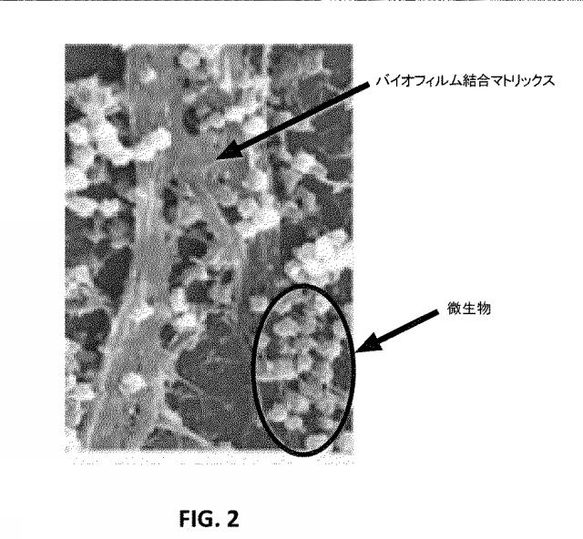 6790104-プロバイオティック組成物及びその使用 図000026