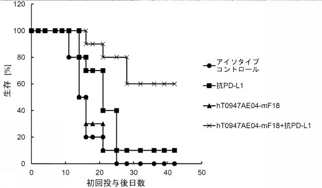 6846564-種交差性抗潜在型ＴＧＦ−β１抗体および使用方法 図000026