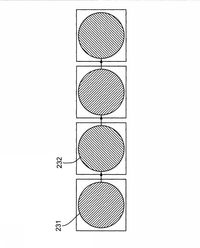 6878499-超音波と光学を複合した画像手段を有する撮像プローブ 図000026