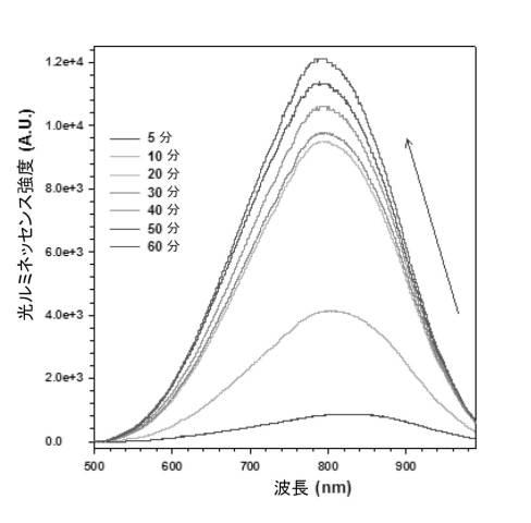 6894423-融合性リポソーム被覆多孔質ケイ素ナノ粒子 図000026