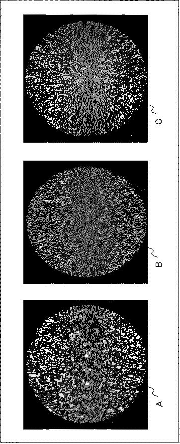 6984736-撮像装置及び撮像方法 図000026