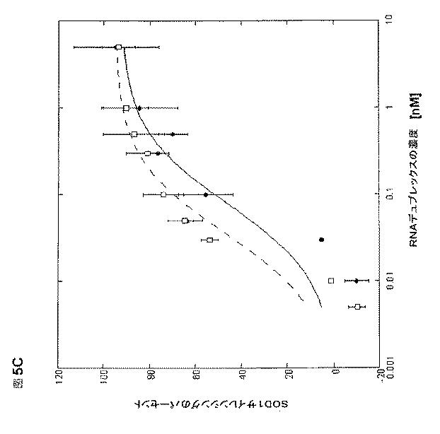 5697993-修飾ＲＮＡｉポリヌクレオチドおよびその使用 図000027