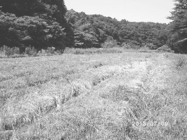 5770897-大気中の常在菌を活用し無肥料および無農薬で野菜を栽培する畑の造成方法 図000027