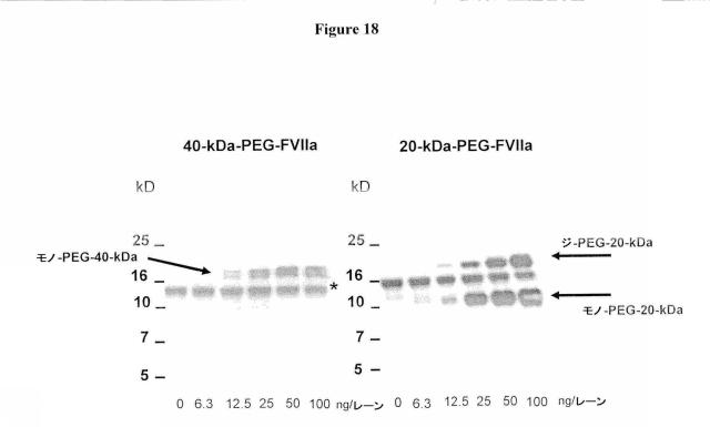 5806816-生理学的に許容されるポリマー分子を特異的に検出するための方法および組成物 図000027