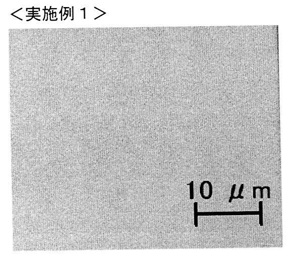 5834389-カラーフィルタ用樹脂組成物、カラーフィルタ、並びに液晶表示装置 図000027