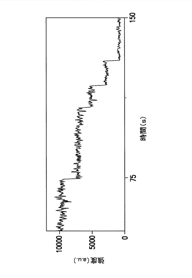 5863766-タンパク質および核酸送達媒体、その成分および機構 図000027