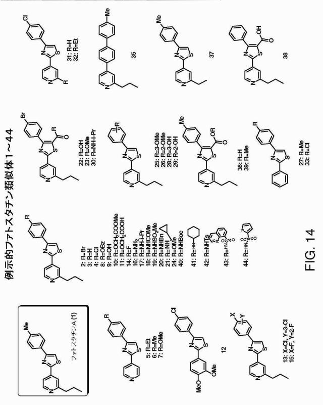 5878937-代謝障害を処置するための組成物および方法 図000027