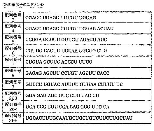 5879374-筋障害を相殺するための手段と方法 図000027