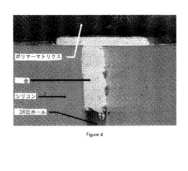 5882905-ホールを閉塞する方法及び閉塞ホール 図000027