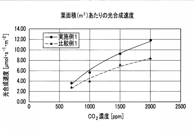 5947993-水耕栽培用マット 図000027