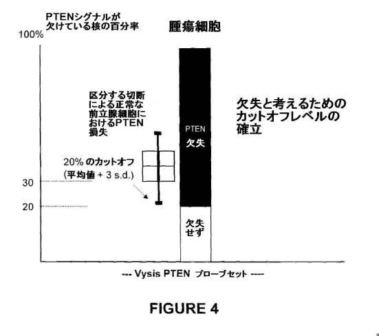 5976550-蛍光ｉｎｓｉｔｕハイブリダイゼーションによる癌抑制遺伝子の欠失を検出するための方法、プローブセットおよびキット 図000027