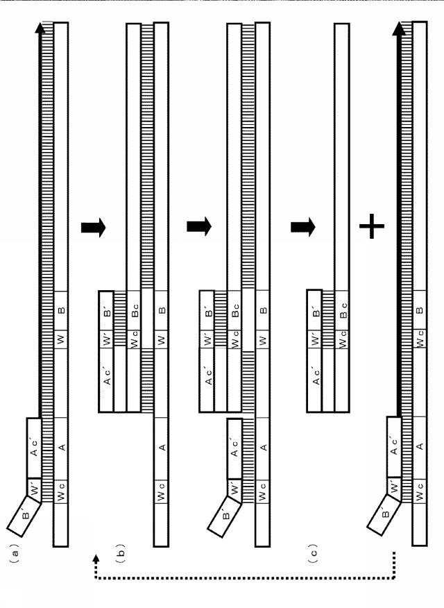 6006814-核酸増幅用プライマーの設計方法、核酸増幅用プライマーの製造方法、核酸増幅用プライマー、プライマーセット、および核酸の増幅方法 図000027